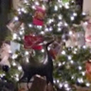 Meet your Posher, Peter